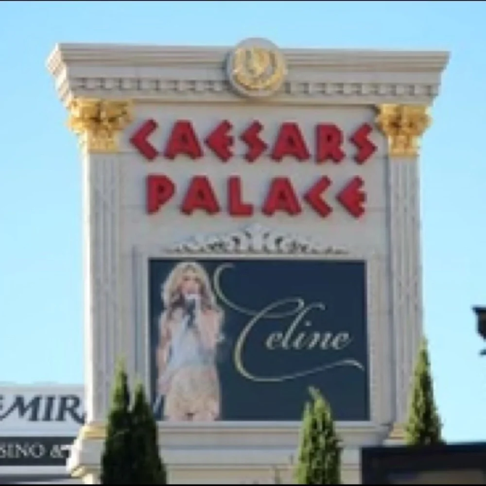 Celine Dion RARE Picture Frame From Caesars Casino Concert Gift Shop Las Vegas